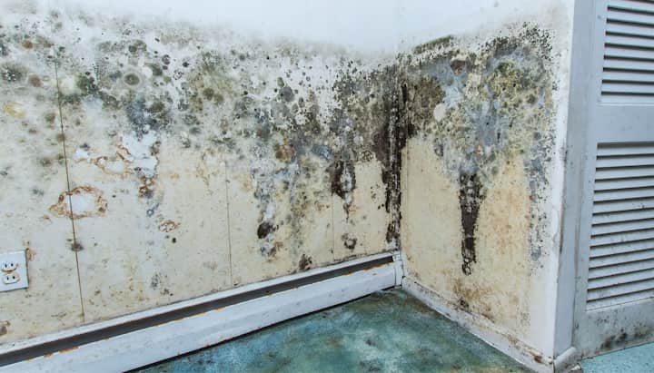 Mold growth on walls.