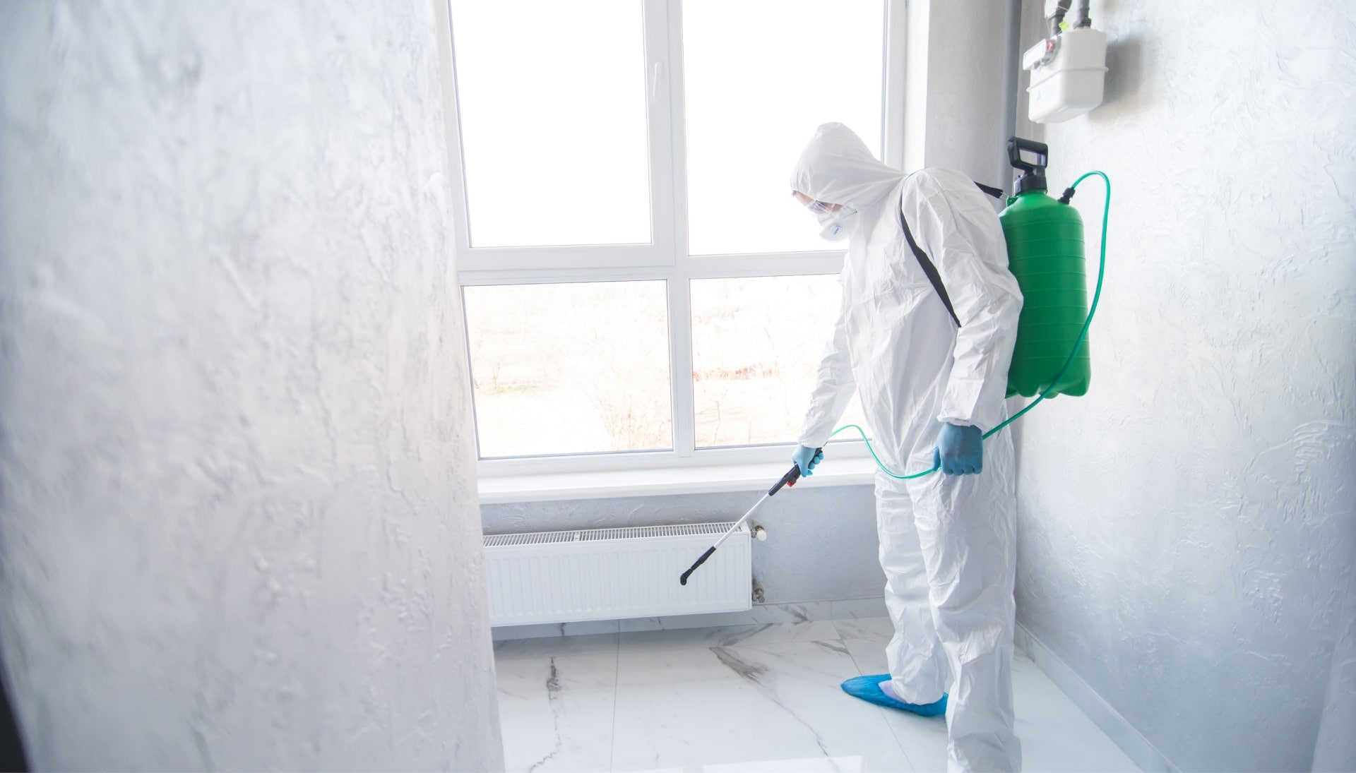 Mold removal technician spraying.